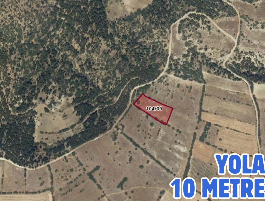 DENİZLİ ÇARDAK SÖĞÜT 3.961 M² TARLAMIZ SATILIKTIR - DENİZLİ ÇARDAK fotoğraf 3